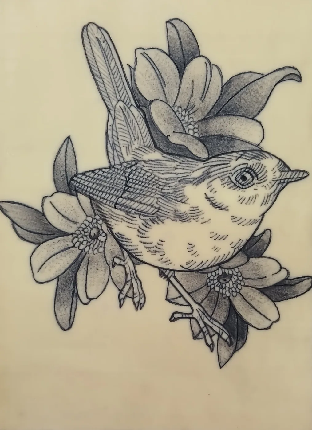 Pájaro entre flores, resuelto con línea fina y sombreado tramado.