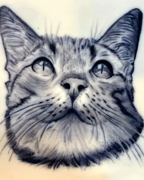 Retrato realista de un gato mirando hacia arriba, con pelaje en grises.