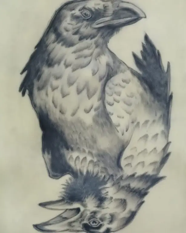 Cuervo con plumaje detallado en grises.